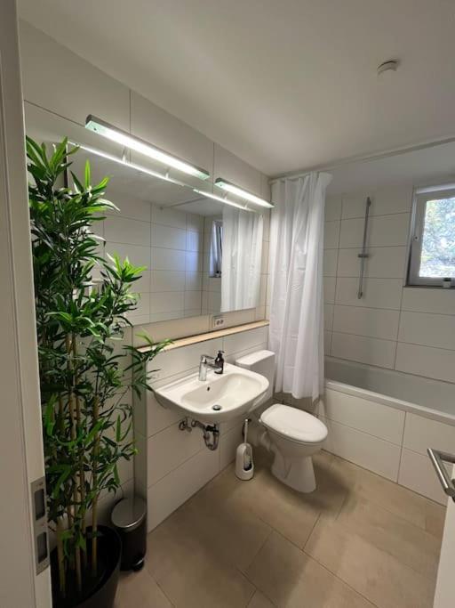 City Appartement Direkt Am Schloss! Karlsruhe Extérieur photo