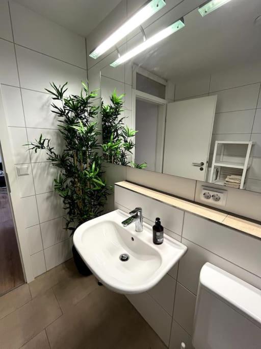 City Appartement Direkt Am Schloss! Karlsruhe Extérieur photo